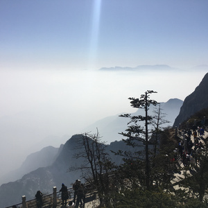 一本色道88AV精品无码笹
