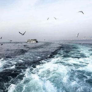 一本色道88AV精品无码笹
