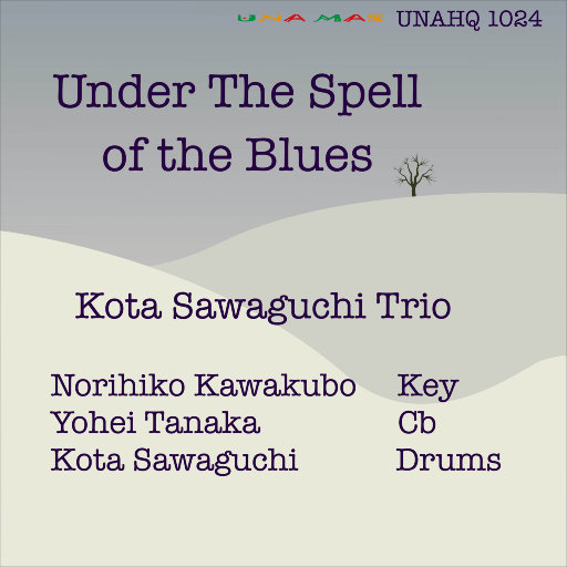 一本色道88AV精品无码笹
